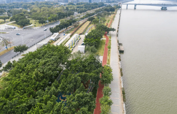 广州珠江堤防加固工程有望明年完工